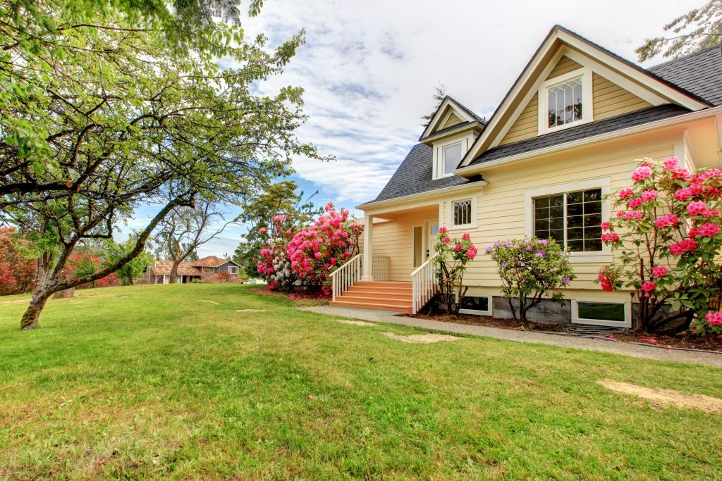 Do it yourself or hire a landscaper