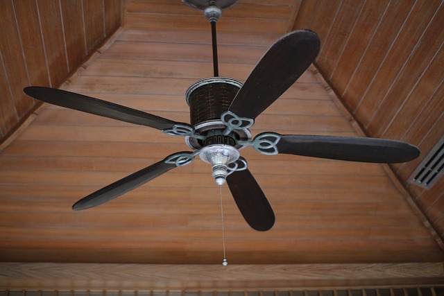 Cleaning ceiling fans made easy